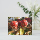 Wulstling muscaria postkarte (Stehend Vorderseite)