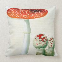 Wulstling Muscaria von "Phytographie Medicale"