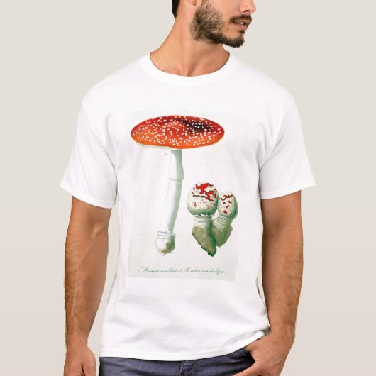 Wulstling Muscaria von "Phytographie Medicale" T-Shirt (Vorderseite)