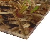 Wulstlings-Caesarea-Pilz-hackendes Glasbrett Schneidebrett (Ecke)