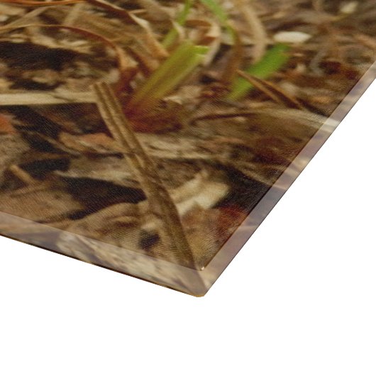 Wulstlings-Caesarea-Pilz-hackendes Glasbrett Schneidebrett (Ecke)