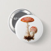 Wulstlings-Pilz-Knopf Button (Vorne & Hinten)