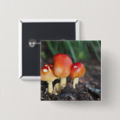 Wulstlingsfamilienpilz Button (Vorne & Hinten)