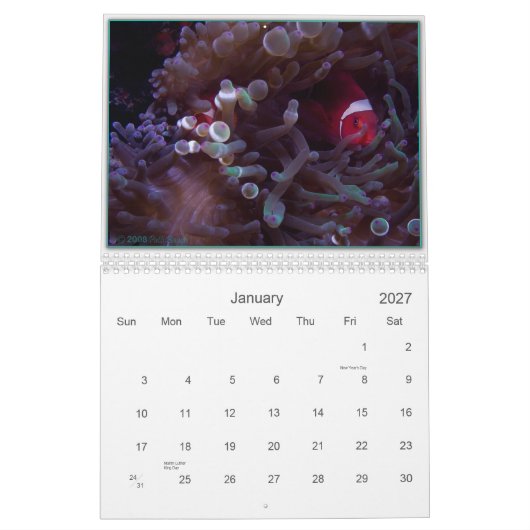 WUNDER DARUNTER KALENDER (Jan 2027)