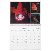 WUNDER DARUNTER KALENDER (Mär 2027)