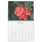 Wunder der Blumen/2027 Kalender (Jan 2027)