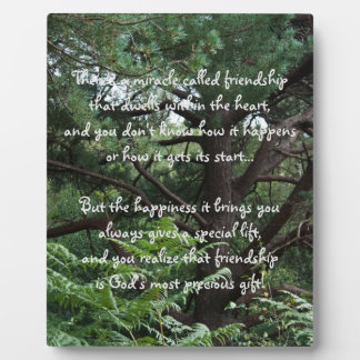 Wunder der Freundschaft Gedicht Plaque Fotoplatte