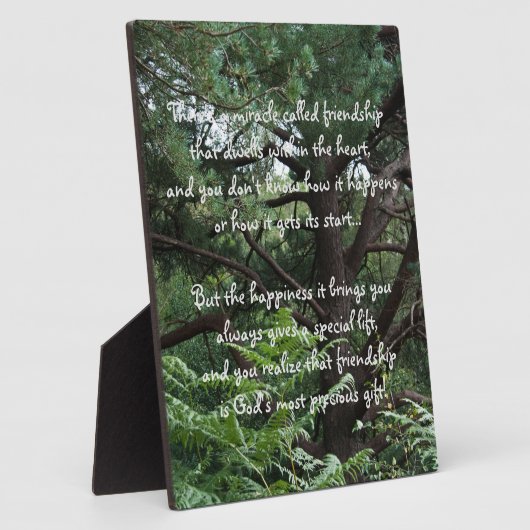 Wunder der Freundschaft Gedicht Plaque Fotoplatte (Seite)