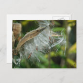 Wunder der Natur~ Samen Postkarte (Vorne/Hinten)