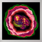 Wunder des Lebens Poster (Vorne)