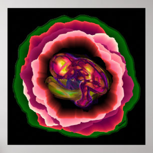 Wunder des Lebens Poster