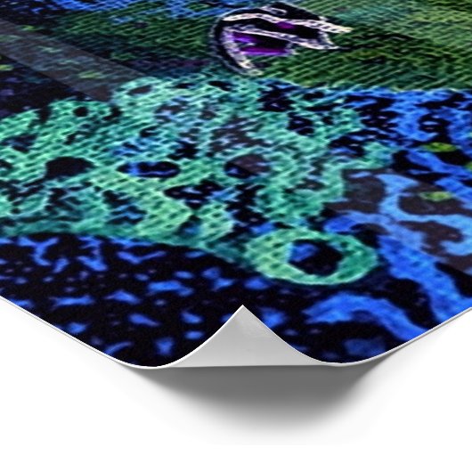 Wunder des Meeres Poster (Ecke)