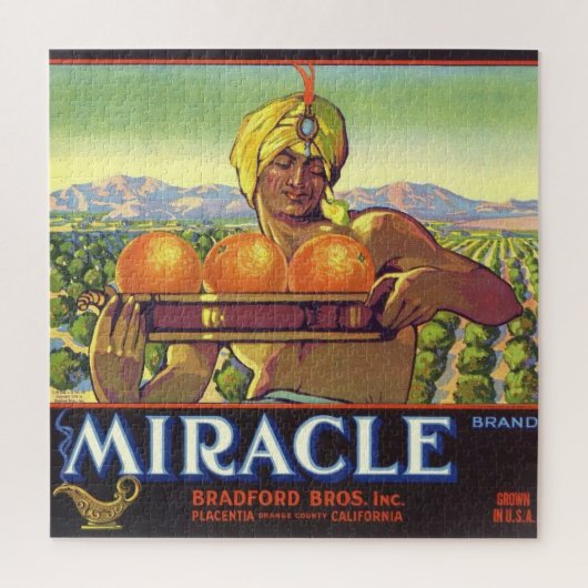 Wunder Genie Illustriert 20x20 Puzzle (Vertikal)