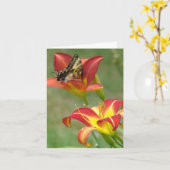 Wunder jenseits karte (Gelbe Blume)