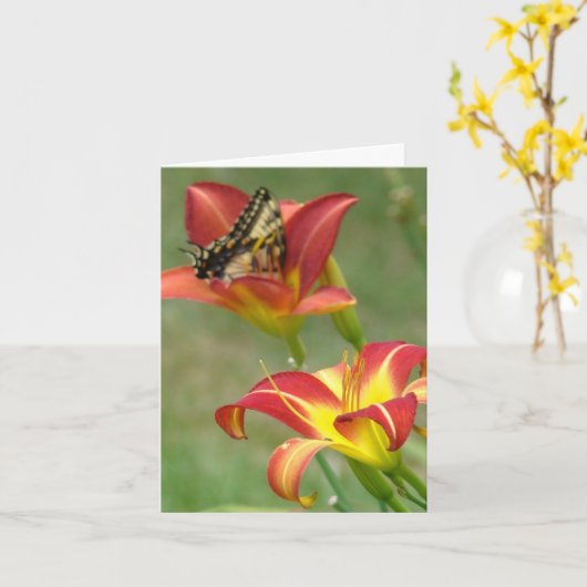 Wunder jenseits karte (Gelbe Blume)