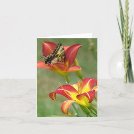 Wunder jenseits karte