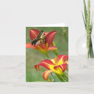 Wunder jenseits karte