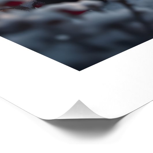 Wunder Poster (Ecke)