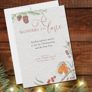 Wunder seiner Liebe Weihnachten Rotkehlchen und Ki