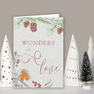 Wunder seiner Liebe Weihnachten Rotkehlchen und Pi