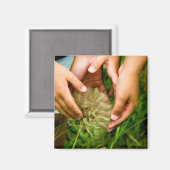 Wunder über das Naturmagnet Foto Magnet (Vorderseite/Rückseite)