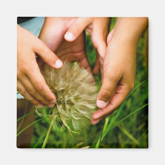 Wunder über das Naturmagnet Foto Magnet (Vorne)