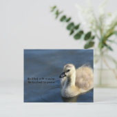 Wunder und Frieden Postkarte (Stehend Vorderseite)