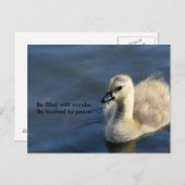 Wunder und Frieden Postkarte (Vorne/Hinten)