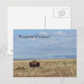 Wunderbar Wyoming! Postkarte (Vorne/Hinten)