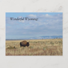 Wunderbar Wyoming! Postkarte