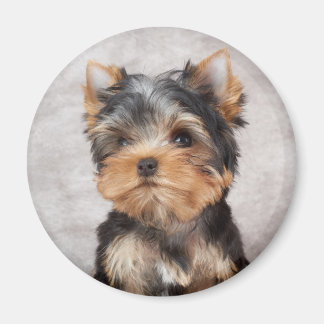 Wunderbar Yorkie Magnet