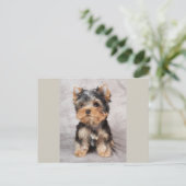 Wunderbar Yorkie Postkarte (Stehend Vorderseite)