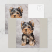 Wunderbar Yorkie Postkarte (Vorne/Hinten)