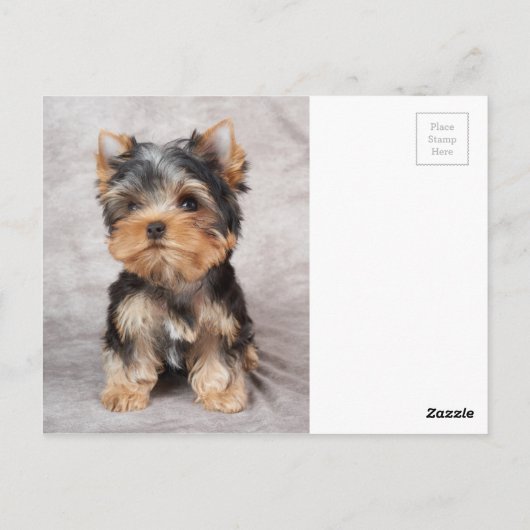Wunderbar Yorkie Postkarte (Rückseite)