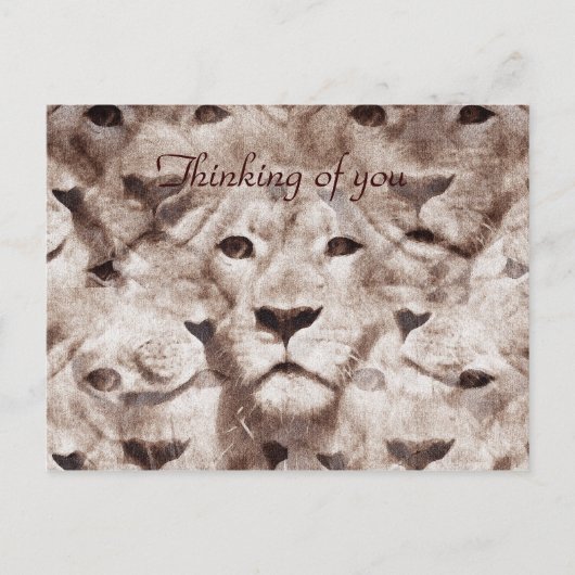 Wunderbare Augen_ Postkarte (Vorderseite)