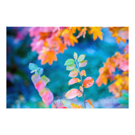 Wunderbare Blätter in Cotonou Fotodruck