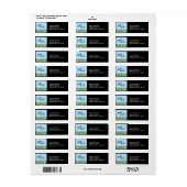 Wunderbare Delphine im funkelnden mystischen Meer (Vorne)