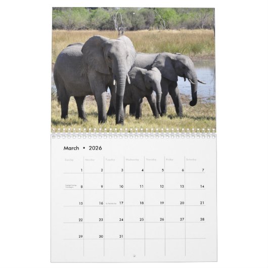 Wunderbare Elefanten 2016 Kalender (Mär 2026)