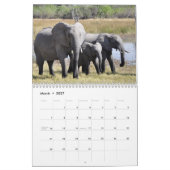 Wunderbare Elefanten 2016 Kalender (Mär 2027)