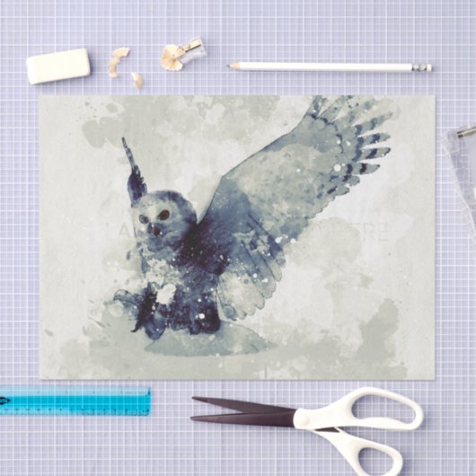 Wunderbare Eule im Aquarell Seidenpapier (Handwerk)