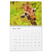 Wunderbare Giraffen 2026 Kalender (Jan 2027)