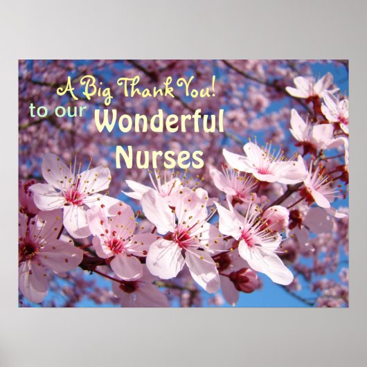 Wunderbare Krankenschwestern Kunst Ein großes Dank Poster (Vorne)