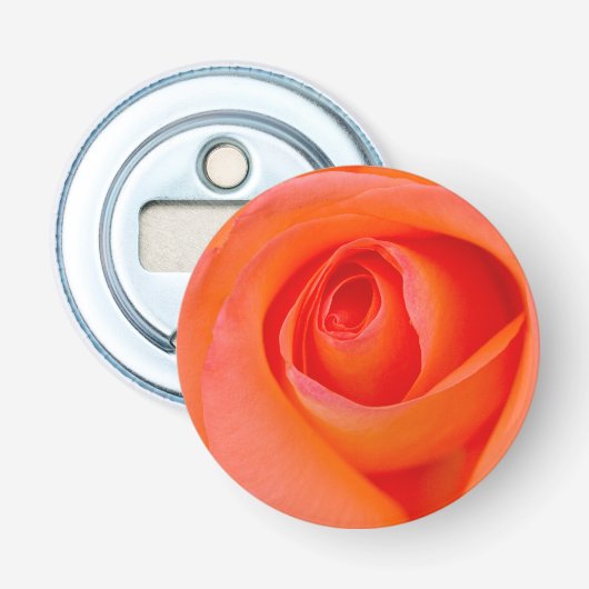 Wunderbare Orange Rose Knospe Flaschenöffner (Vorderseite)