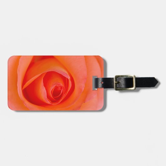 Wunderbare Orange Rosenknospe Gepäckanhänger (Vorderseite horizontal)