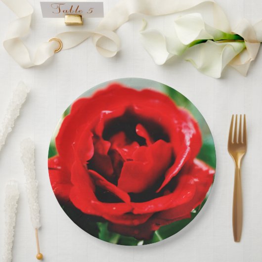 Wunderbare Rote Rose Liebe Pappteller (Hochzeit)