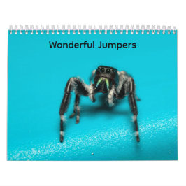 Wunderbare Springer Kalender