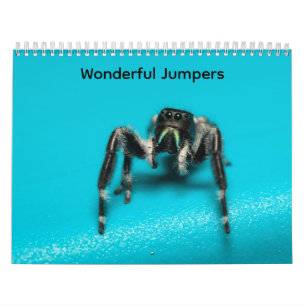 Wunderbare Springer Kalender