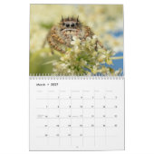 Wunderbare Springer Kalender (Mär 2027)