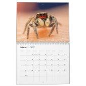 Wunderbare Springer Kalender (Feb 2027)