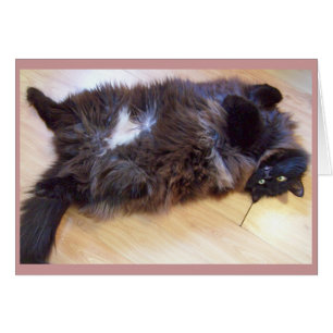 Wunderbare Tageskarte